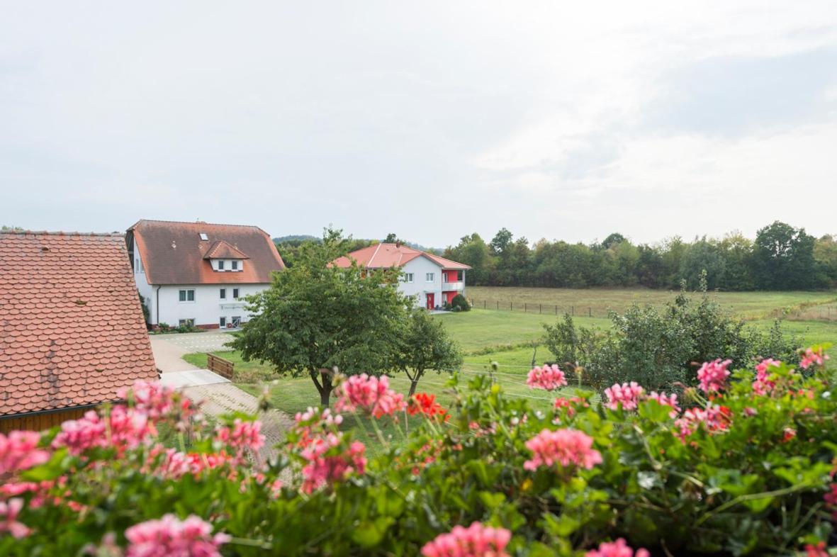 Gasthaus-Pension Hofmann Oberdachstetten Exteriér fotografie